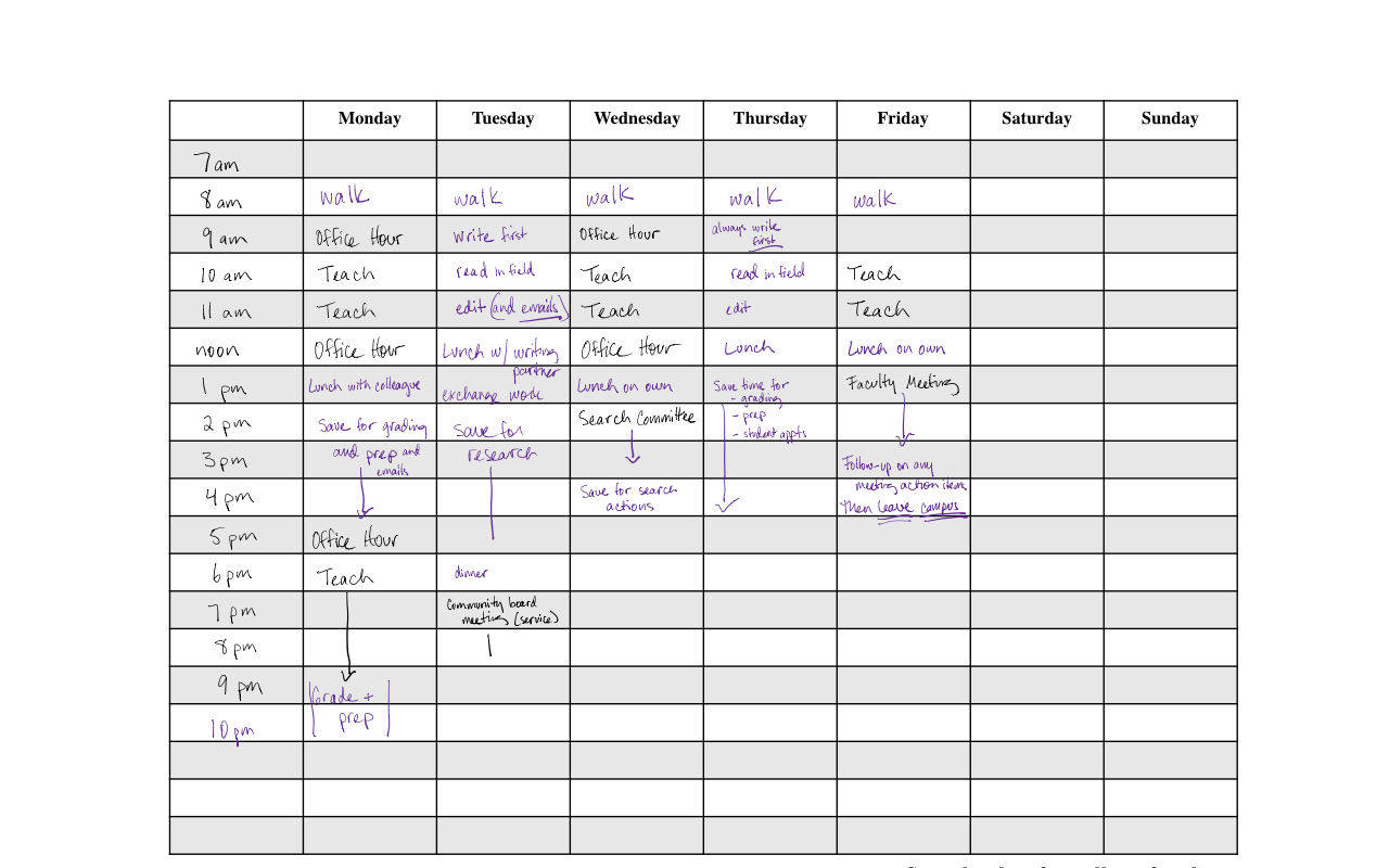 faculty weekly plan