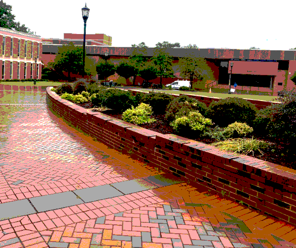 image of a college campus