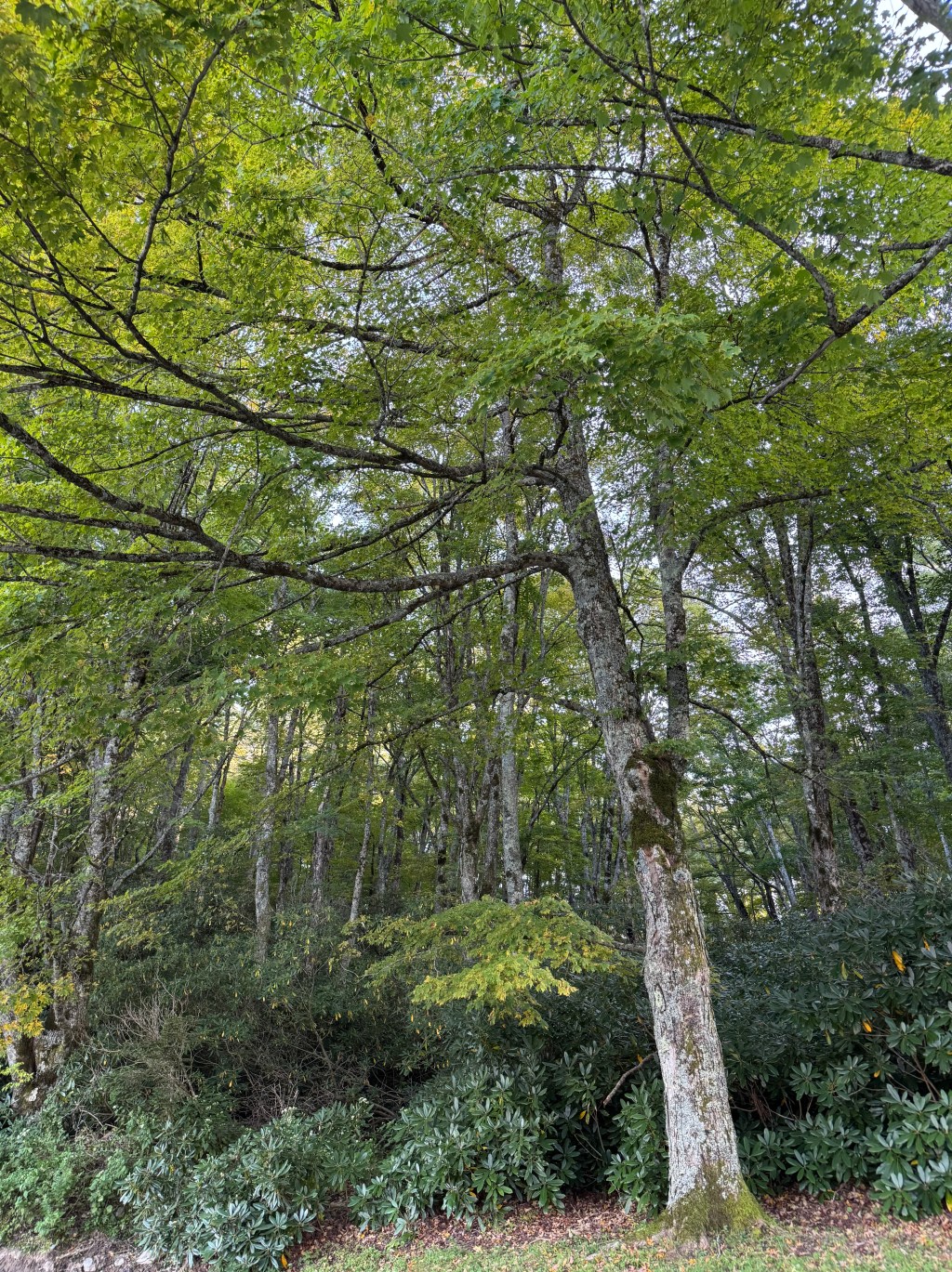 Rising to the&nbsp;challenge